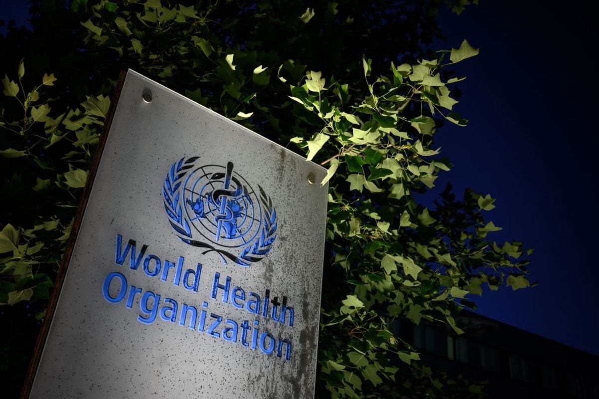 Consumer body warns on ‘significant threats’ to vaping at WHO conference  