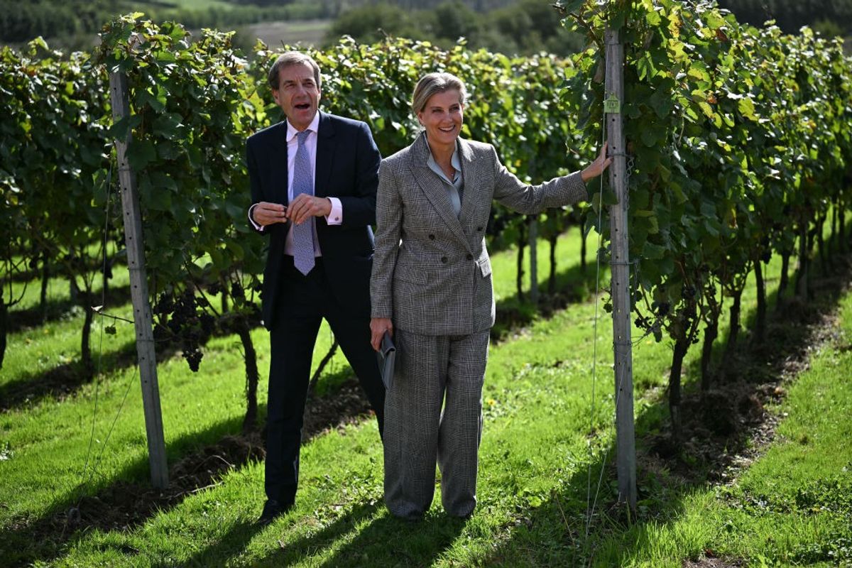 Champagne houses abuzz over English sparkling wine