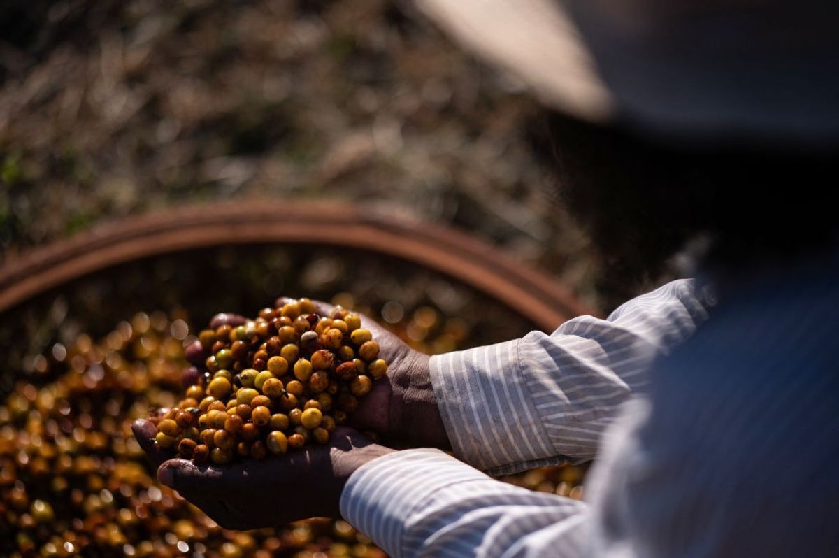 coffee beans