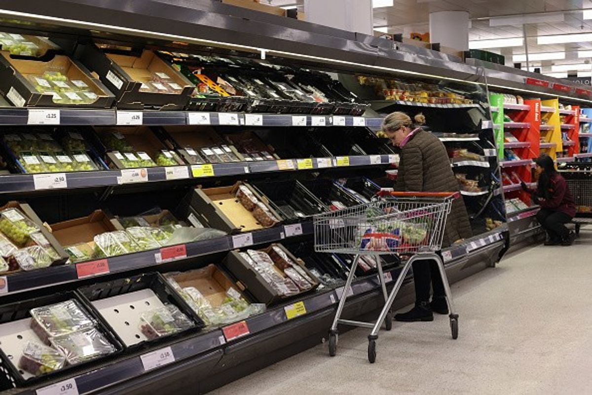 One in three lorries on road is 'empty' as UK supermarkets shelves go bare