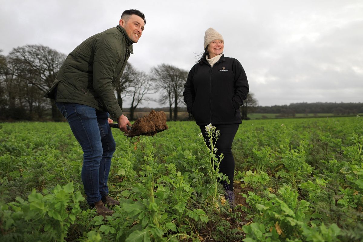 Guinness agriculture experiment means good things are taking root