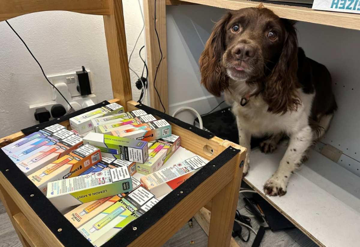 Illegal tobacco and vapes worth £260,000 seized in Walsall