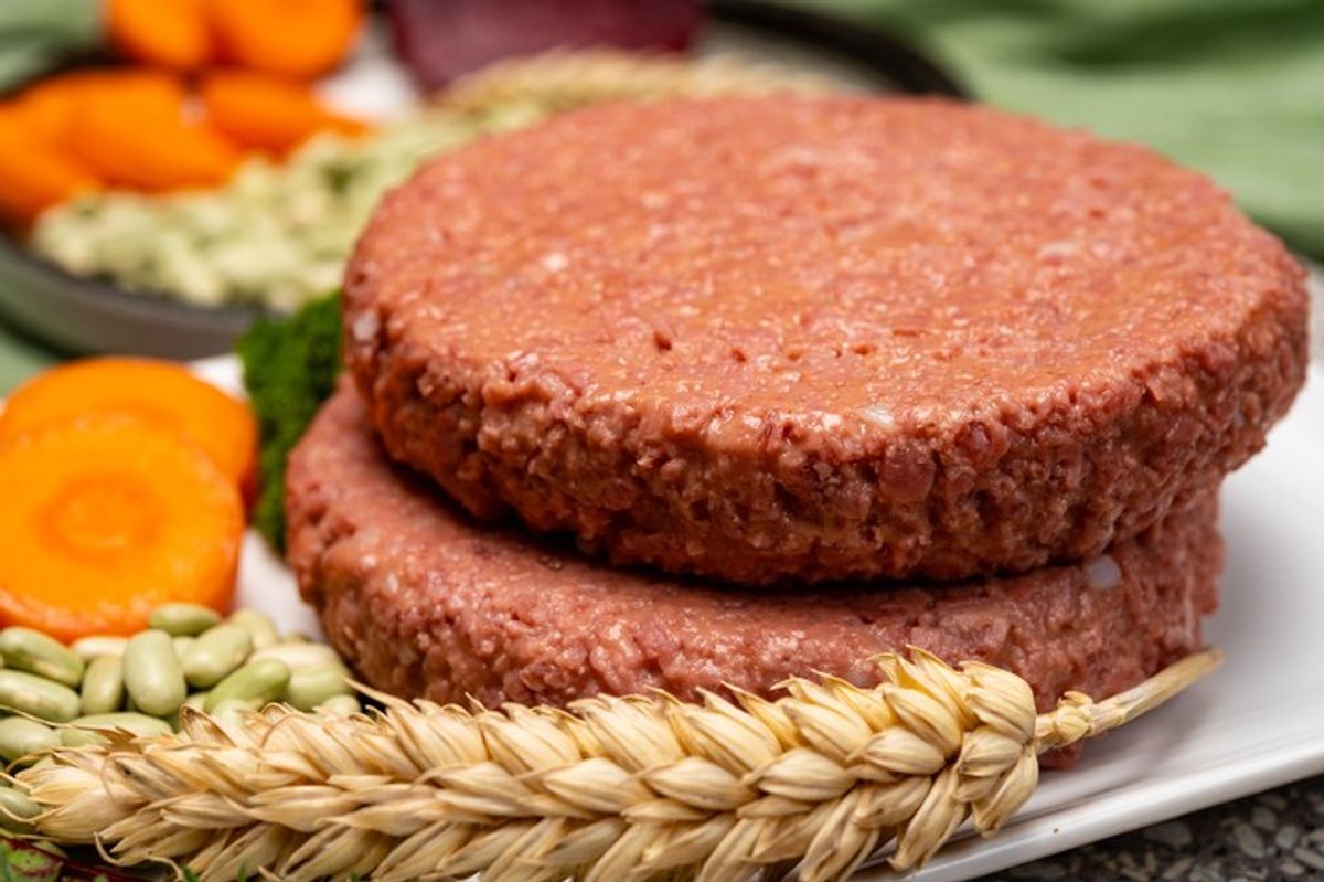 High Salt plant based meat, Food high in salt