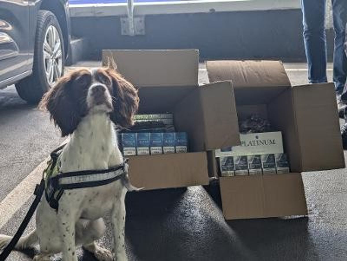 £8,000 worth of illegal tobacco seized from East Renfrewshire shops