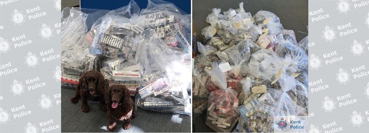 Kent police secures largest single seizure of illicit cigarettes in secret tunnel