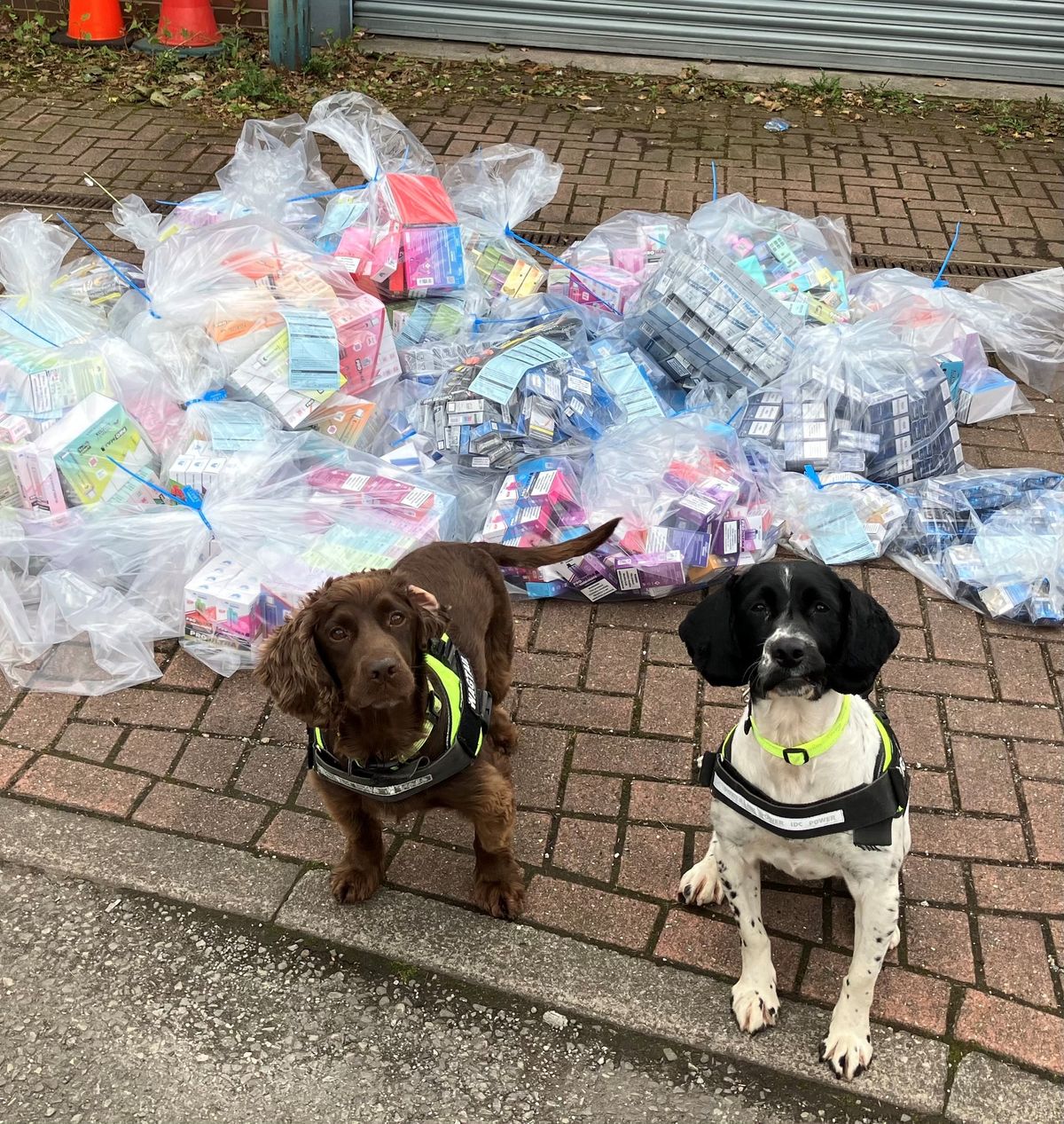  £50k worth of illegal tobacco seized in Oldham