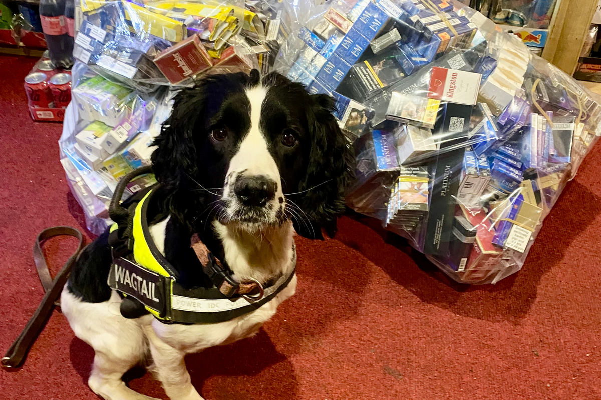 £24k worth of illegal tobacco, vapes seized from Walsall traders