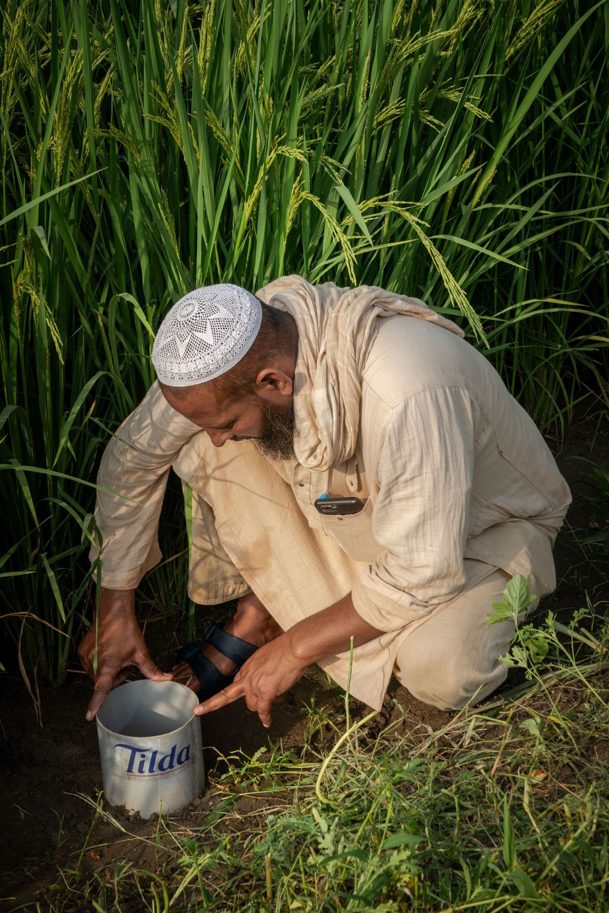 Tilda leads charge for sustainable rice production