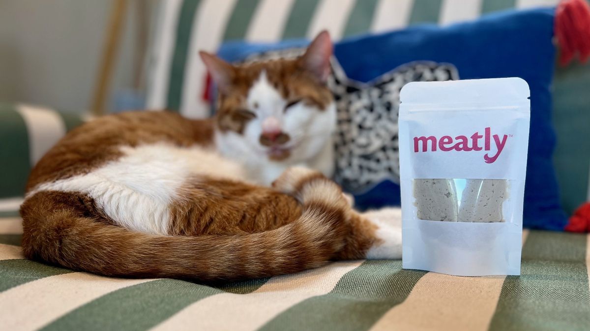 Meatly receives UK approval for cultivated pet food