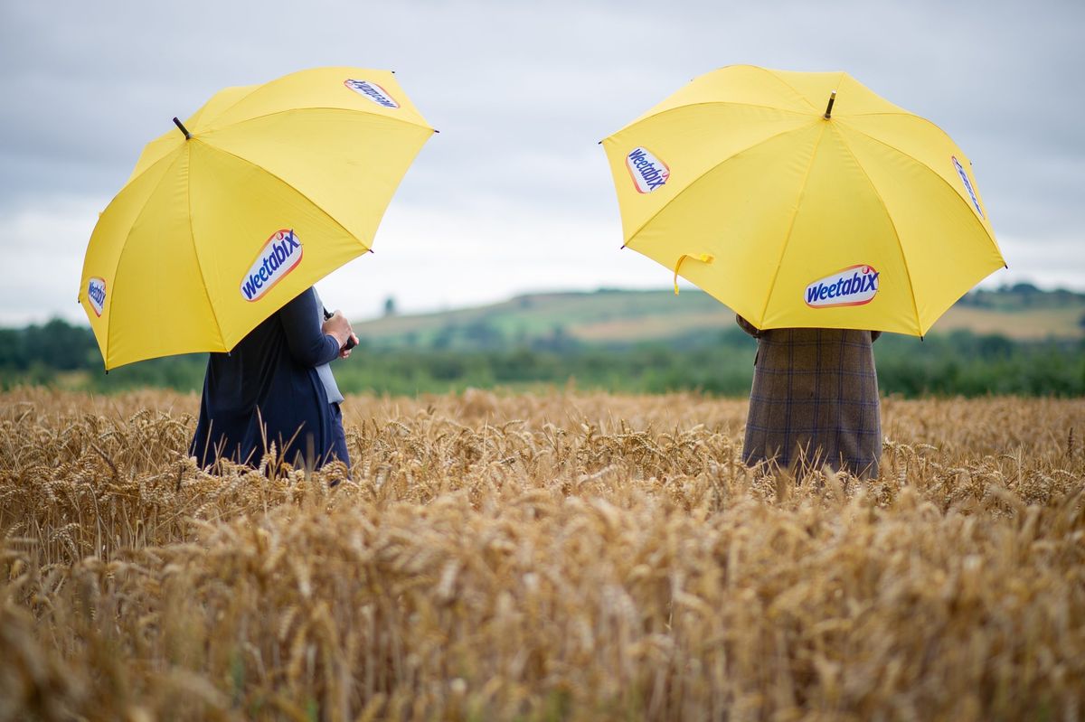 Weetabix gathers in successful harvest despite weather