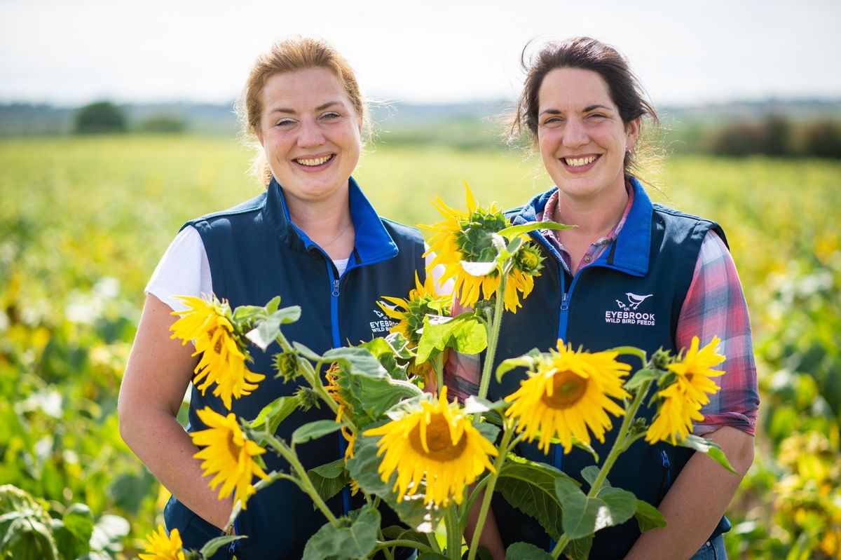 Weetabix creating roadmap for producing zero-carbon cereal box