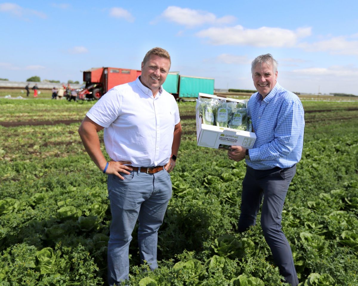 All roads lead to Romaine: new lettuce lines land in SPAR