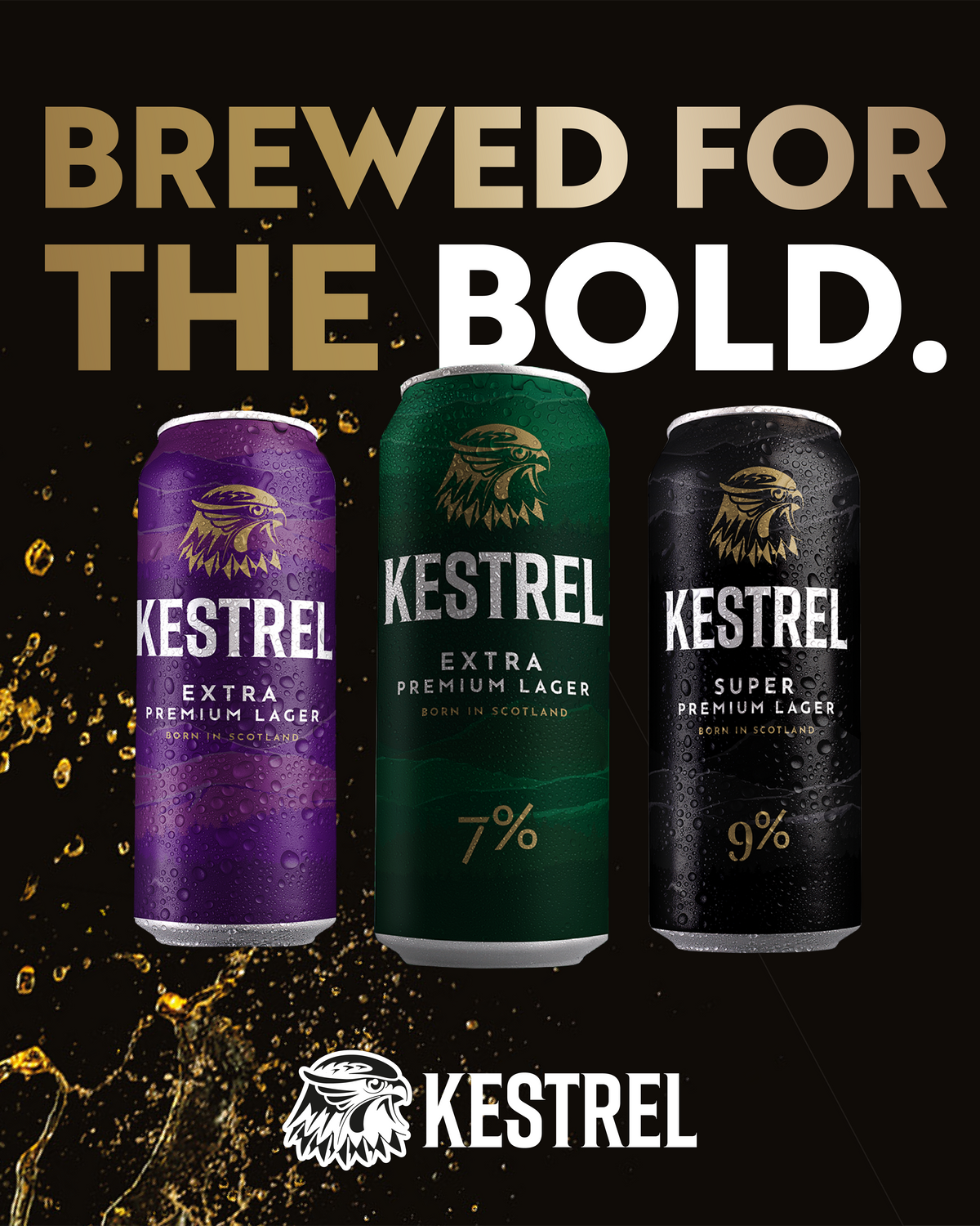 Kestrel Beer signs racing driver Harry Rice as new brand ambassador