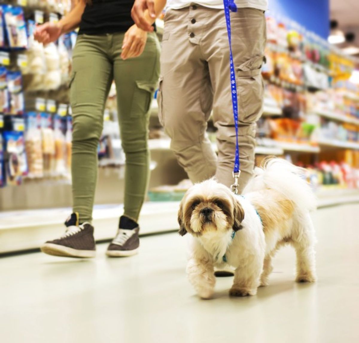 Petfood giant to acquire rival