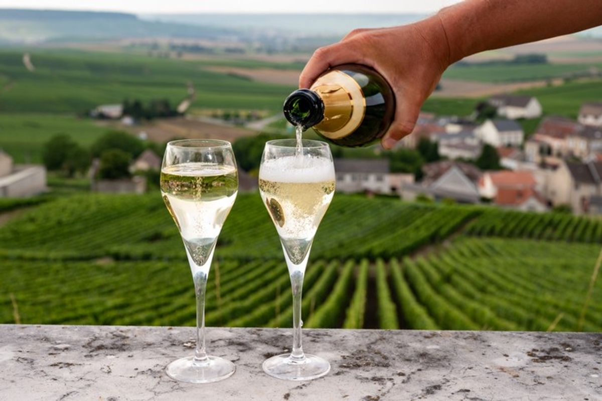 With 299 million bottles shipped in 2023, Champagne demand steadies