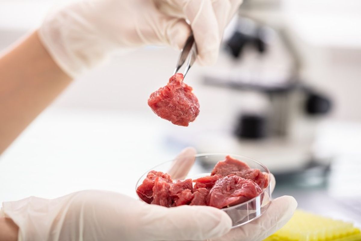 Lab-grown meat is up to '25 times worse for climate than regular beef'