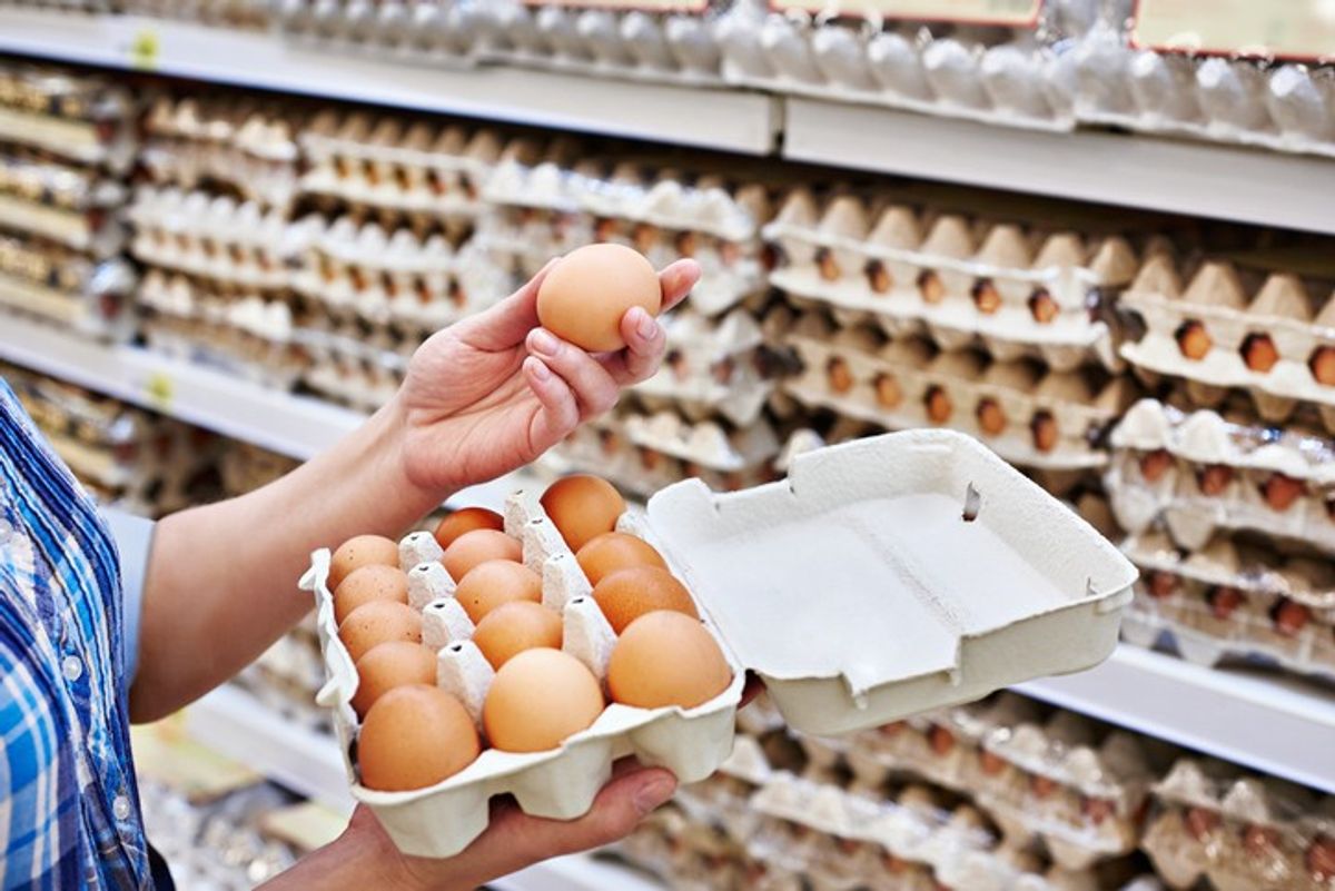 Scotland proposes ban on caged hens for eggs