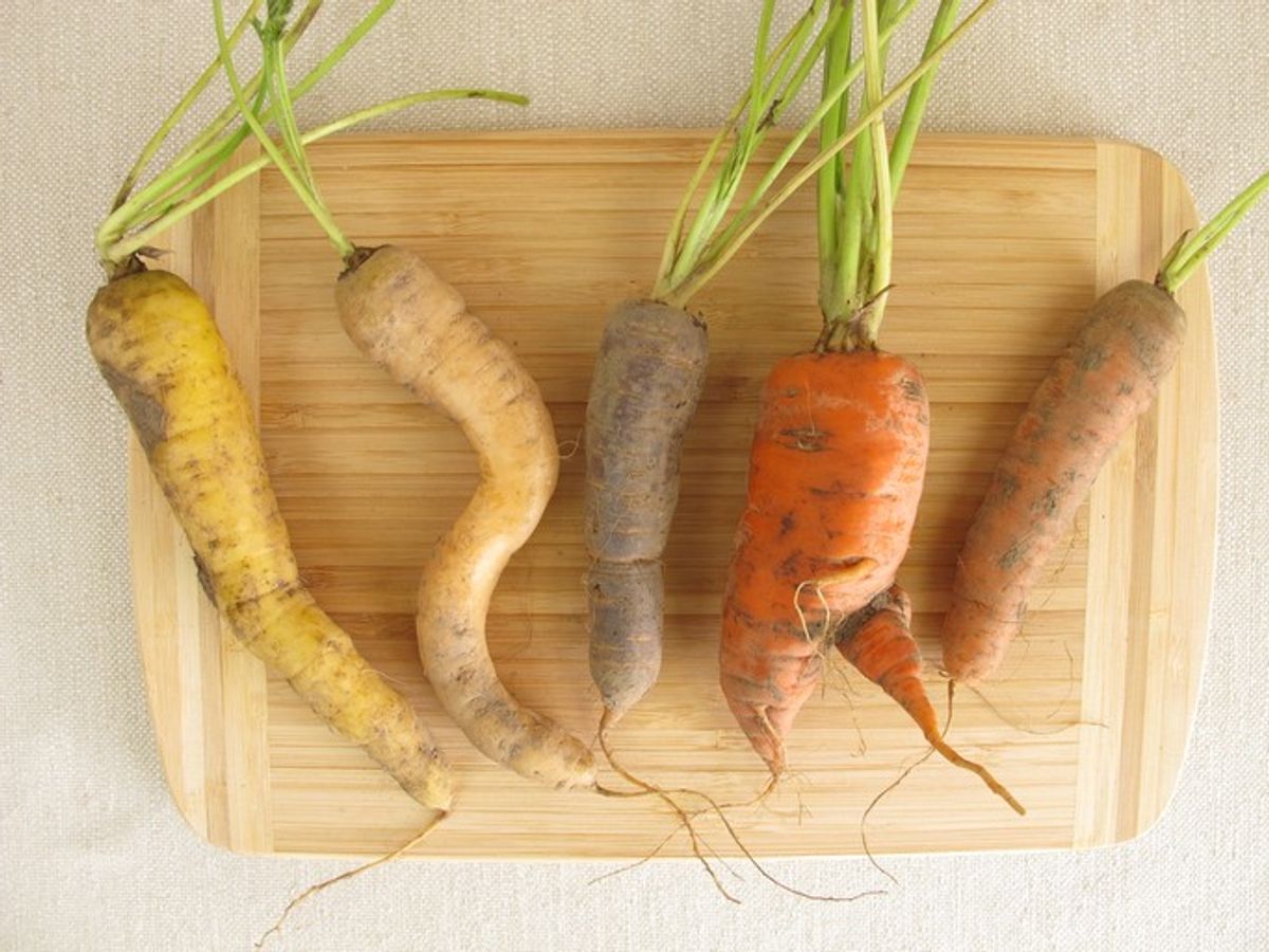 Be prepared to buy wonky vegetables, farmers tell UK