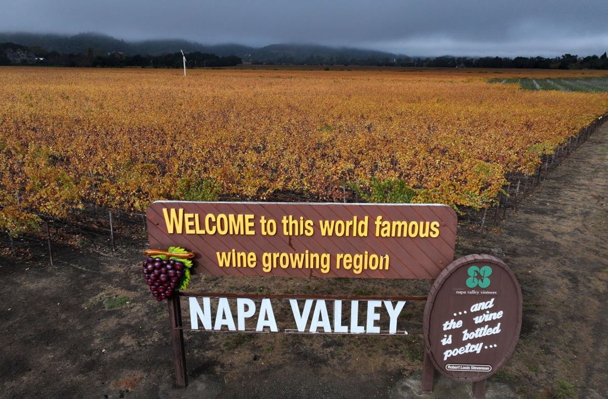 napa valley vineyard