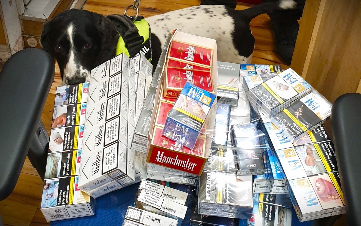 Record haul of illegal tobacco and vapes worth £208,000 seized in Bournemouth