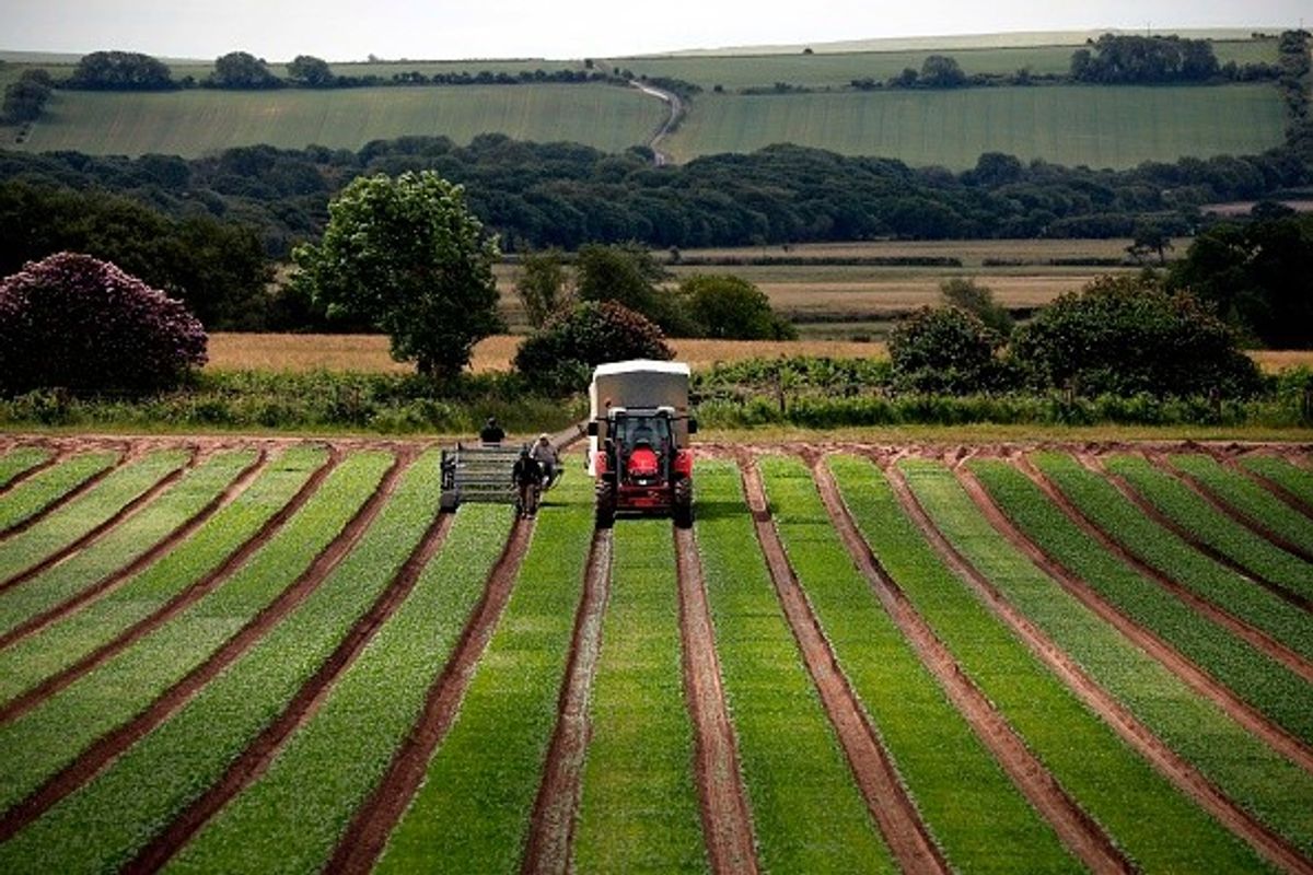 Farmers call for proper plan on food security