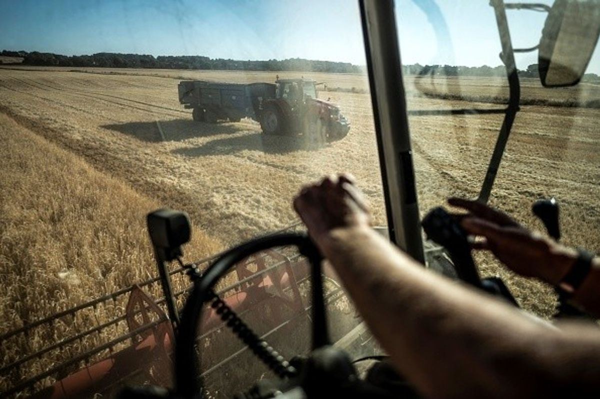 UK 'sleepwalking' into food supply crisis, farmers warn