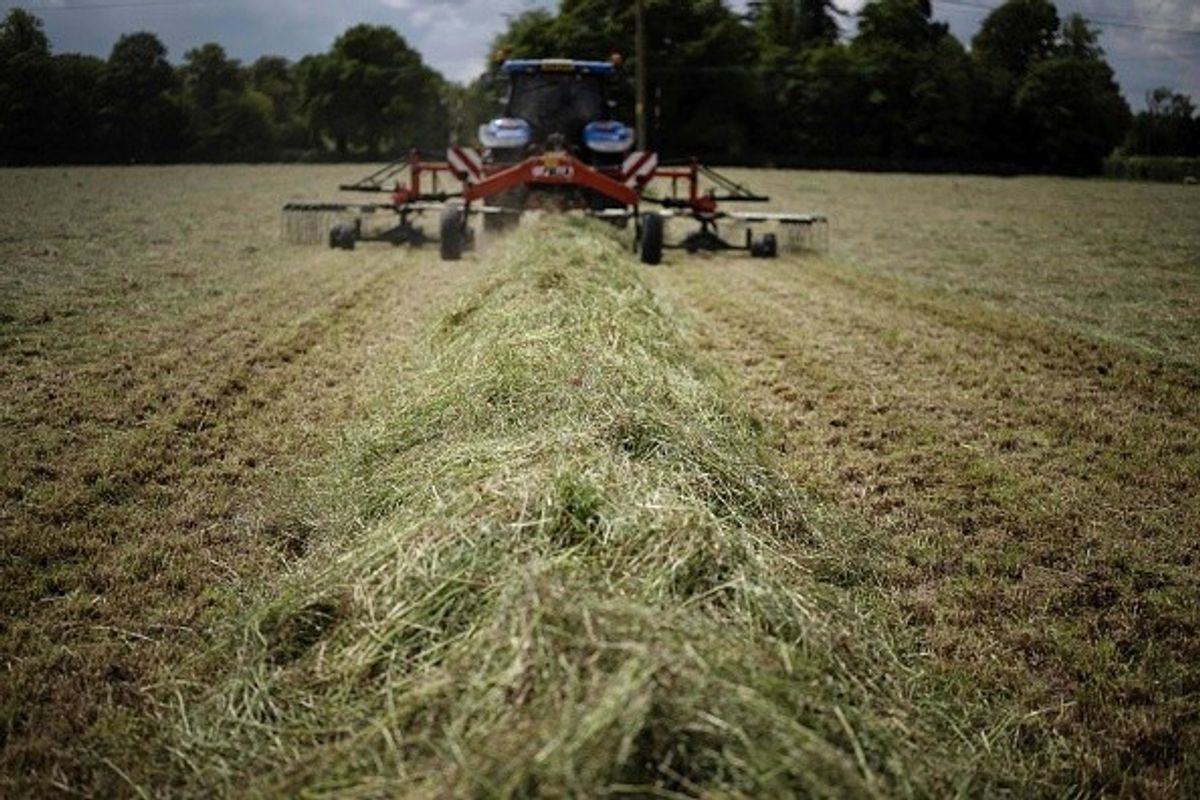 Farmers facing 'almost daily' cost increase of essentials