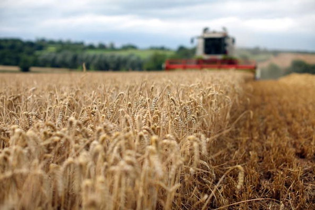 'Farmer confidence at record low'