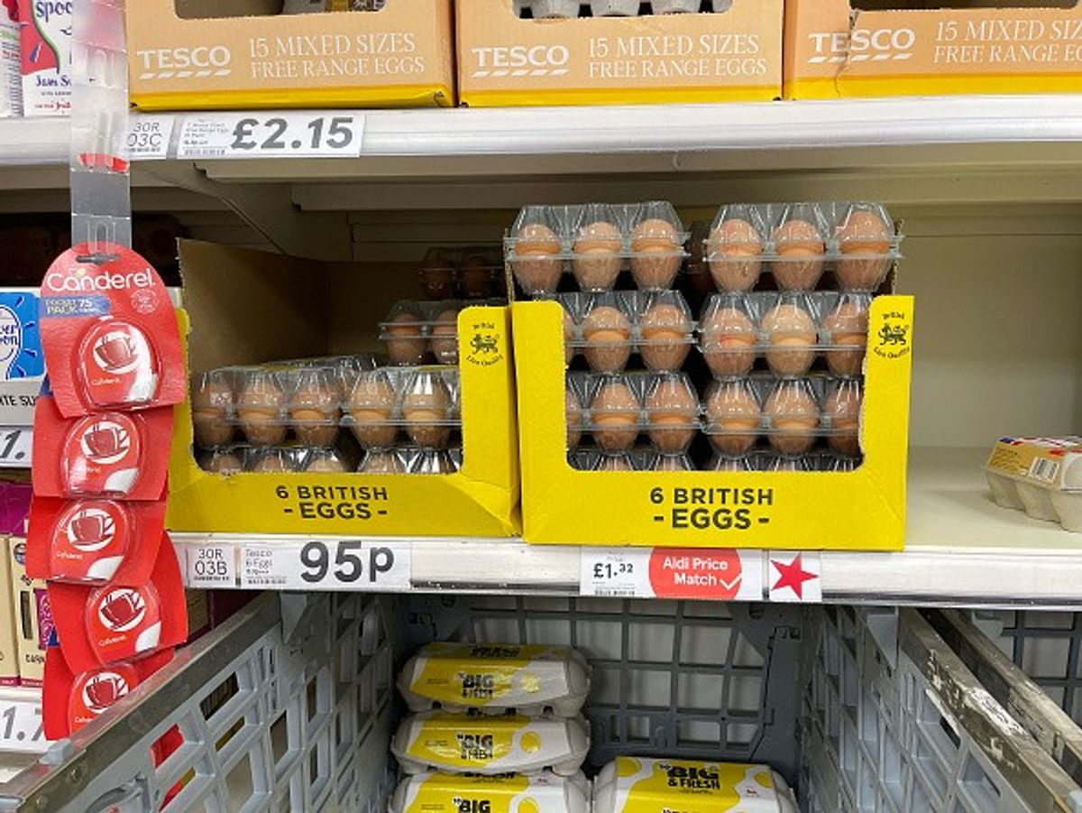 Waitrose, Co-op, Sainsbury's reaffirm support for egg farmers