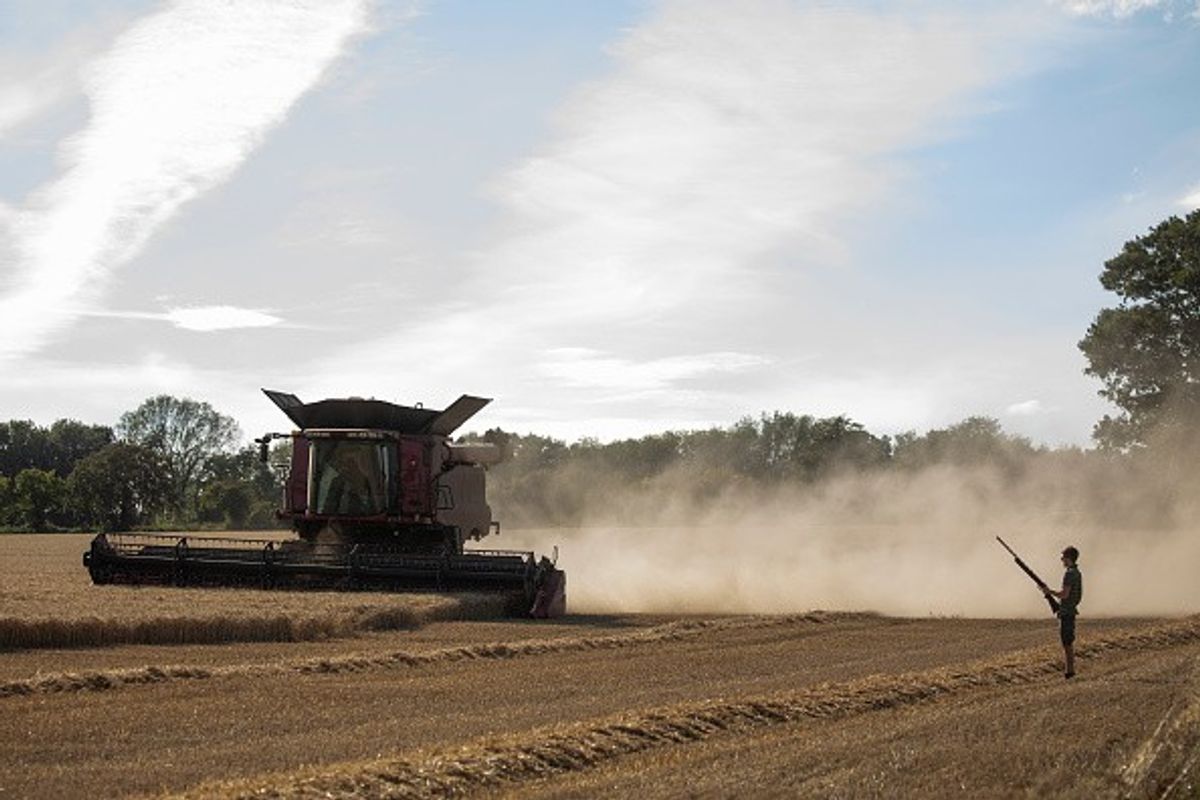 Farmers cutting down food production due to soaring costs: NFU