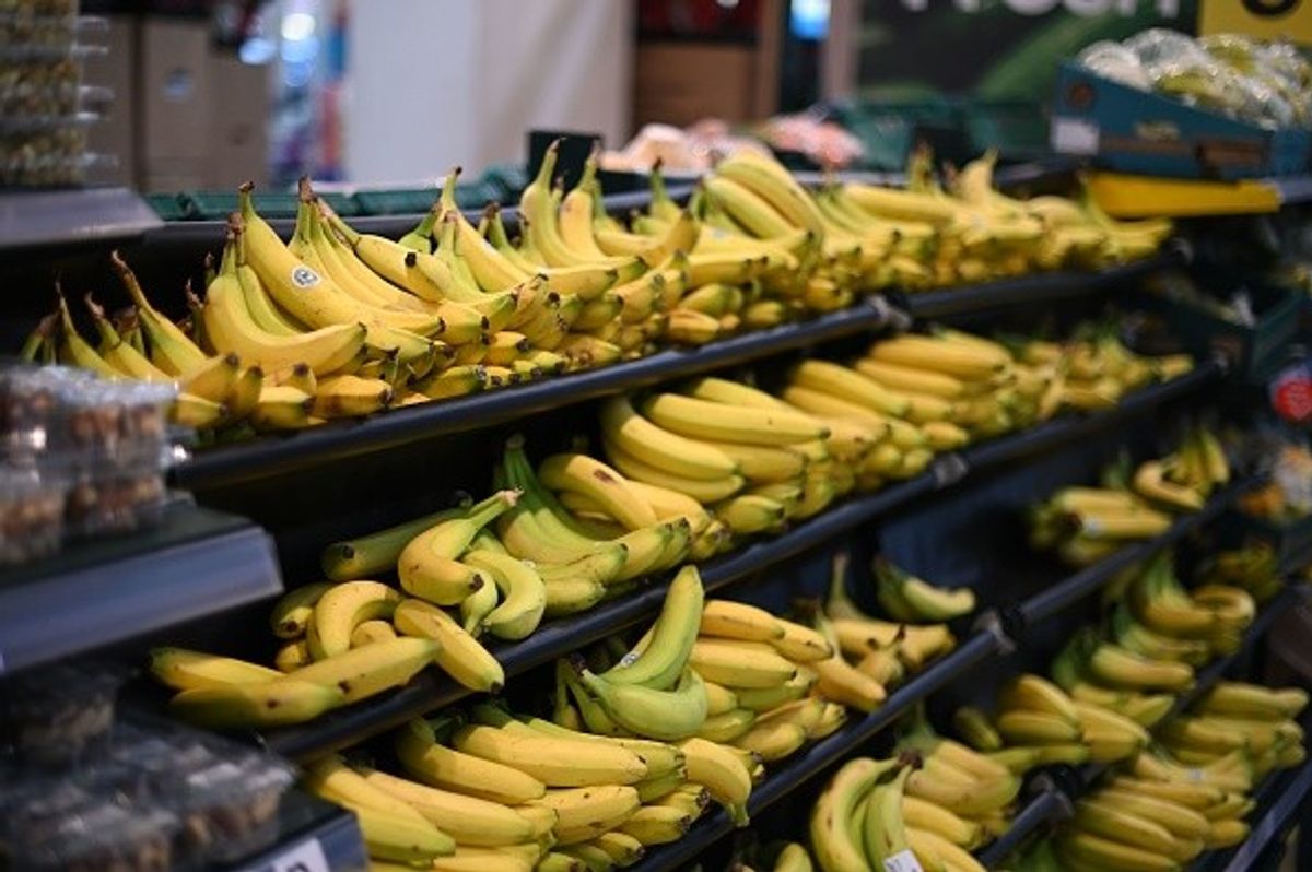 'UK supermarkets' war over banana price harming producers and exporters'