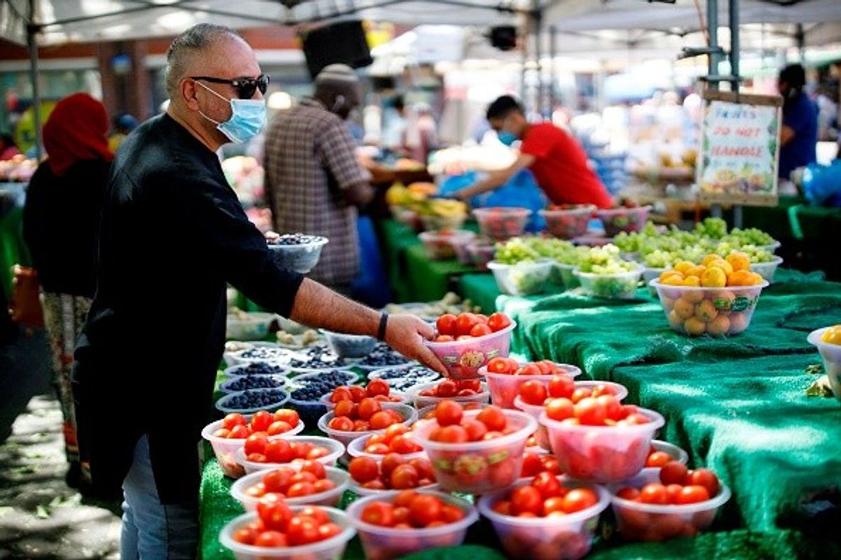 There will be 'fewer British tomatoes on shelves' this season