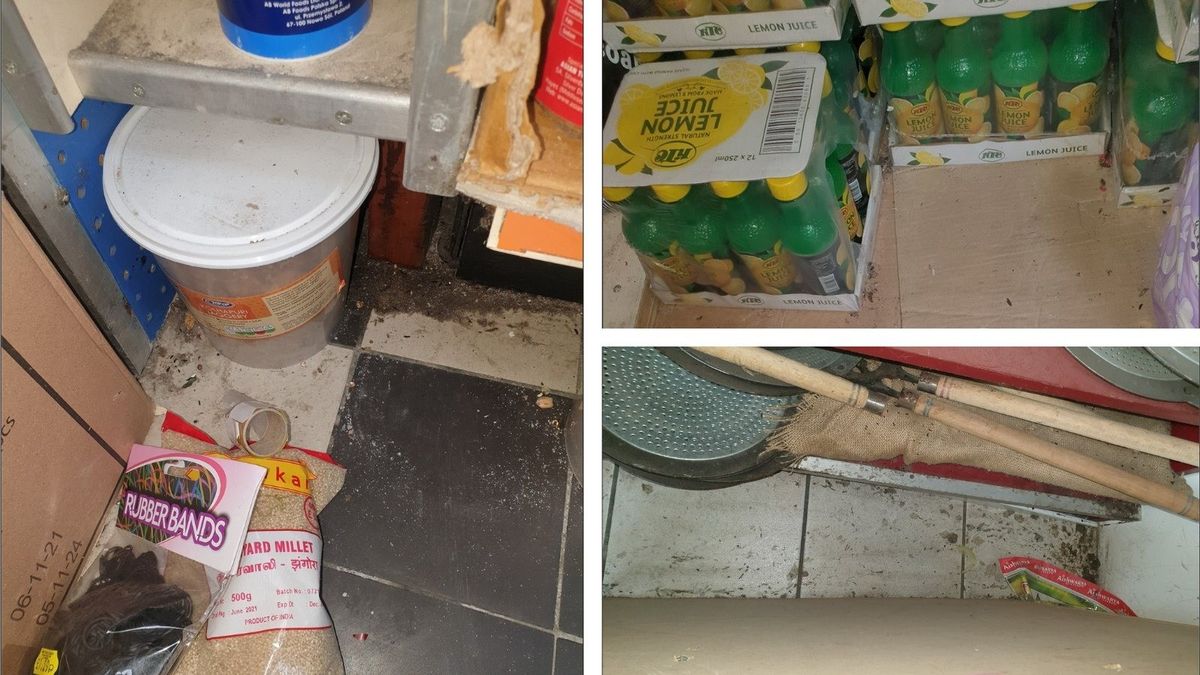 Ealing cash and carry fined £27,000 because of poor hygiene