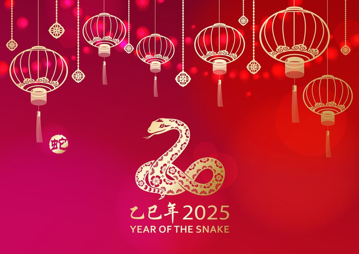 year of the snake